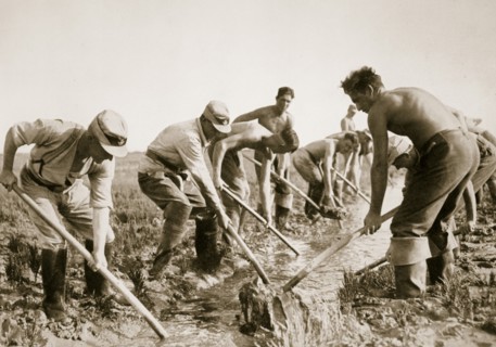 The Labour Service at work, Germany, 1936. Artist: Unknown