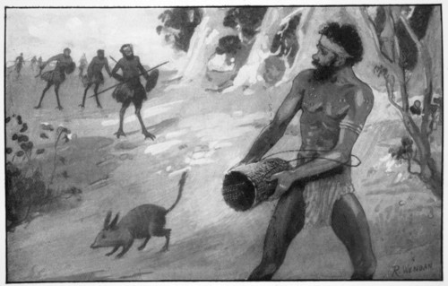'When the strange-looking blackfellows were close to him, Yoonecara released the bandicoot', 1923. Artist: Raymond Wenban