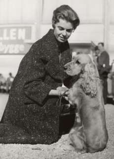 Princess Margaretha of Sweden with her Cocker Spaniel at a dog show, Stockholm, October 1960. Artist: Unknown