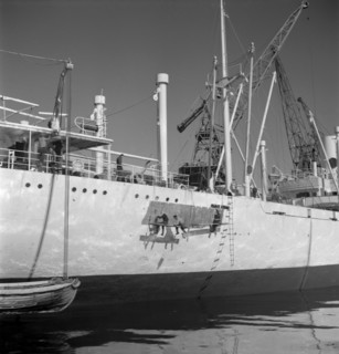 Painting the hull of a ship in the harbour of Gothenburg, Sweden, 1960. Artist: Torkel Lindeberg