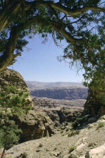 Walk to El Deir (the Monastery), Petra, Jordan.