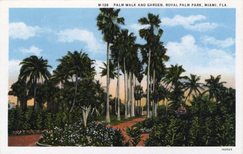 Palm Walk and garden, Royal Palm Park, Miami, Florida, USA, 1931. Artist: Unknown
