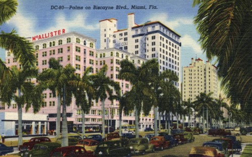 Palms on Biscayne Boulevard, Miami, Florida, USA, 1949. Artist: Unknown