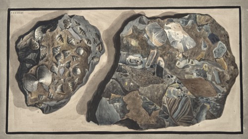 Piece of marble composed of fragments of various sorts of marble found in the Fossa Grande, 1776.