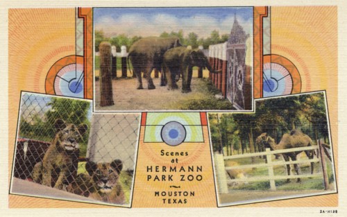 'Scenes at Hermann Park Zoo, Houston, Texas', USA, postcard, 1932. Artist: Unknown