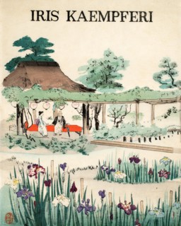 Iris Kaempferi - Front Cover, 1890, (colour woodblock print)