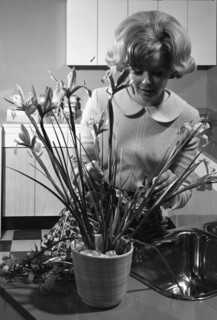 Kitchen scene, Warwick, Warwickshire, 1966. Artist: Michael Walters