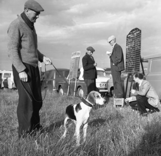 Hound Trailing, one of Cumbria's oldest and most popular sports, Keswick, 2nd July 1962. Artist: Michael Walters