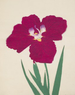 Tai-Hei-Raku, No. 18, 1890, (colour woodblock print)