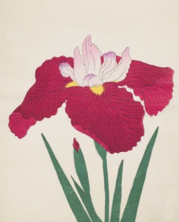 Yamamatayama, No. 83, 1890, (colour woodblock print)