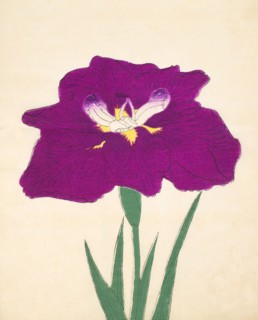 Hizume-No-Hyoshi, No. 29, 1890, (colour woodblock print)
