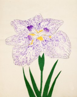 Yamato-Nishiki, No. 31, 1890, (colour woodblock print)