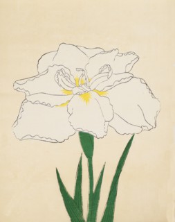 Haku-O-Den, No. 40, 1890, (colour woodblock print)