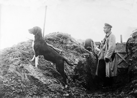 German Officer with his dog in the trenches, c.1914.
