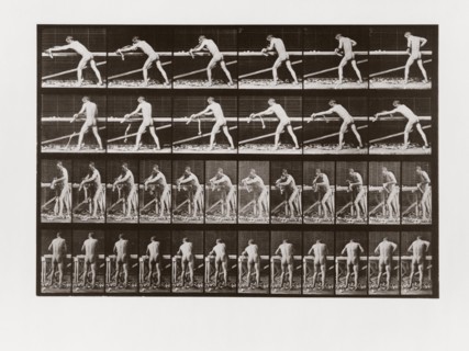 Man planing wood, Plate 379 from Animal Locomotion, 1887 (photograph)