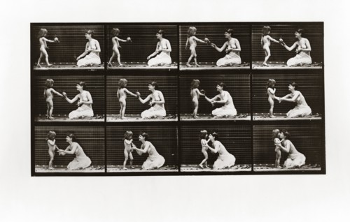 Child bringing bouquet to a woman, Plate 465 from Animal Locomotion, 1887 (photograph)