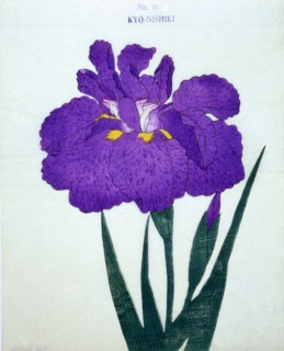 Nyo-Nishiki, No 11.