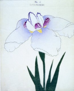 Zama-No-Mori, No 4.