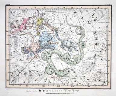 The Constellations (Plate II) Ursa Minor,  Cassiopeia,  Tarandus, Cepheus,  Draco, Custos Messium,