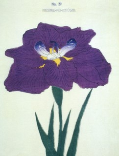 Hizume-No-Hyoshi, No 29.