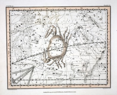 The Constellations (Plate XVI) Cancer, 1822.
