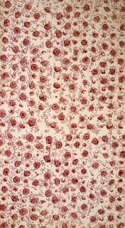 Floral Endpaper (hand coloured engraving). Creator: English School (18th Century).