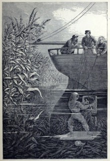 Clearing the Screw, from Under the Waves, or Diving in Deep Waters, pub. 1887. Creator: English School (19th Century).