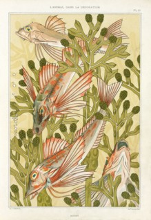 Red Mullet, pub. 1897. Creator: Maurice Pillard Verneuil (1869?1942).