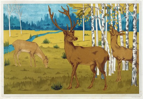 Deer, from 'L'Animal dans la Decoration', pub. 1897. Creator: Maurice Pillard Verneuil (1869?1942).
