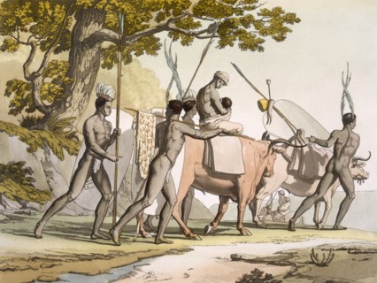 Korah Hottentots of the Cape on the move, Vol II, c1820-40. Creator: Sir John Barrow (1764-1848).