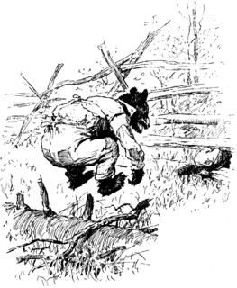 Illustration from the book The Complete Tales of Uncle Remus, by Joel Chandler Harris, 1895.  Artist: AB Frost