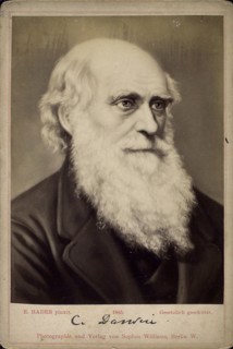 Charles Darwin, British naturalist, c1860s-c1870s. Artist: Ernst Hader