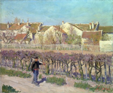 In the Provinces', 1903-1906.
