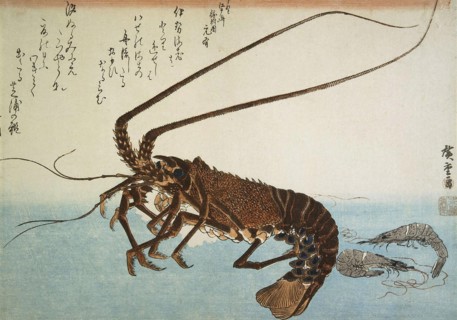 Lobster and Shrimps, 1832-1834.  Creator: Hiroshige, Utagawa (1797-1858).