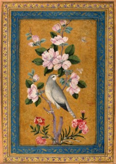 Bird Perching on a Blossoming Branch, 1696.  Creator: Yusuf Zaman (17th century).