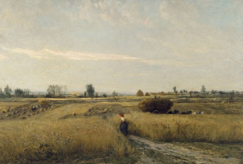 The Harvest, 1851. Artist: Daubigny, Charles-François (1817-1878)