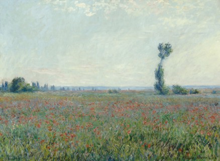 Poppy field, 1881. Artist: Monet, Claude (1840-1926)