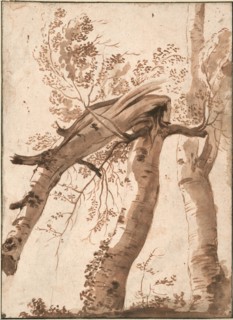 Two Silver Birches, the Front One Fallen, c. 1629. Artist: Poussin, Nicolas (1594-1665)