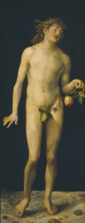 Adam, 1507. Artist: Dürer, Albrecht (1471-1528)