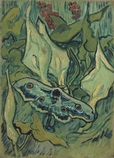 Green Peacock Moth (The Emperor Moth), 1889. Artist: Gogh, Vincent, van (1853-1890)