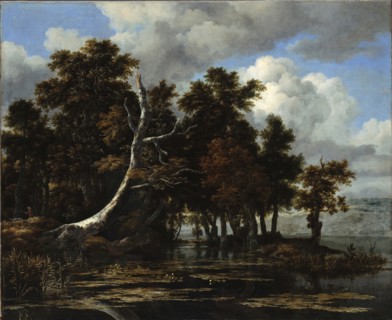 Oaks at a lake with Water Lilies. Artist: Ruisdael, Jacob Isaacksz, van (1628/29-1682)