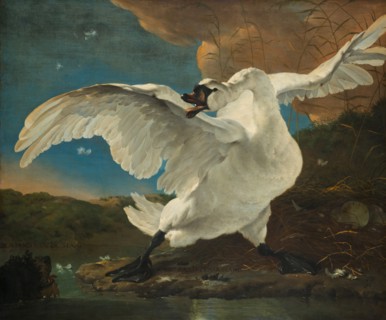 The Threatened Swan, before 1652. Artist: Asselijn, Jan (ca 1610-1652)