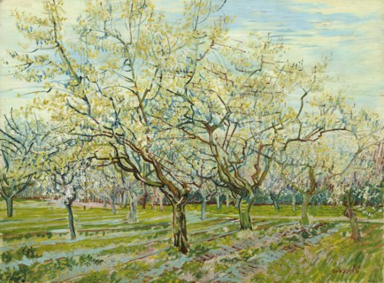 The white orchard, 1888. Artist: Gogh, Vincent, van (1853-1890)