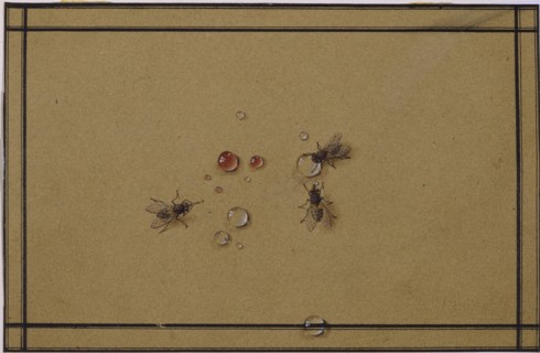 The flies at the waterdrops. Artist: Tolstoy, Fyodor Petrovich (1783-1873)