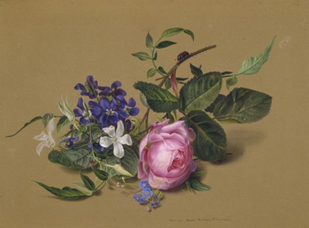 Beetle at the rose branch. Artist: Tolstoy, Fyodor Petrovich (1783-1873)
