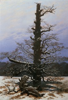 Oak Tree in the Snow. Artist: Friedrich, Caspar David (1774-1840)