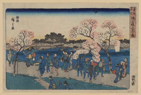 Cherry blossoms along Sumida River. (Sumida tsutsumi hanami no zu). Artist: Hiroshige, Utagawa (1797-1858)