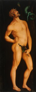 Adam. Artist: Baldung, Hans (1484-1545)