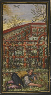 Illustration for The wonderful summer time of eternal life von Jacob Zader, 1603. Artist: Anonymous