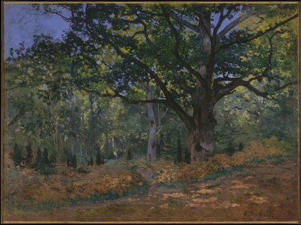The Bodmer Oak, Fontainebleau Forest, 1865. Artist: Monet, Claude (1840-1926)